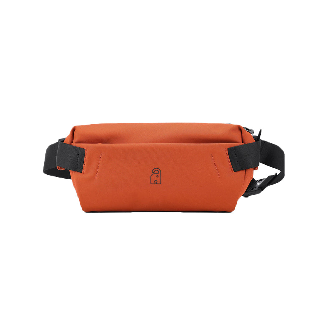 AOKING Anti-Theft Waist Bag