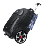 AOKING 18"20" Trolley Backpack Travel Luggage SLX8021