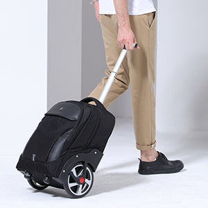 AOKING 18"20" Trolley Backpack Travel Luggage SLX8021