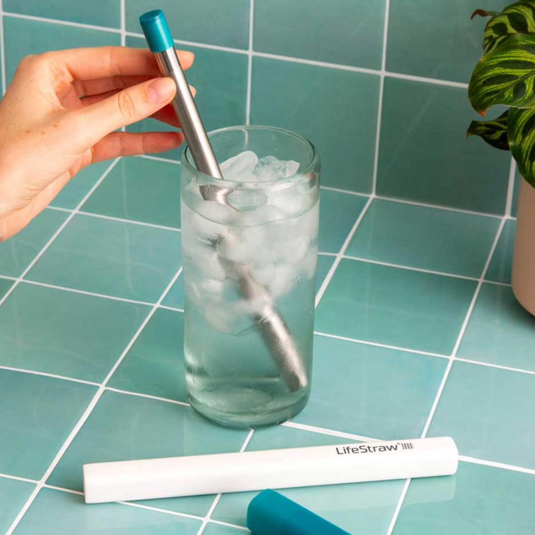 LIFESTRAW Sip Reusable Steel Filter Straw with Carry Case