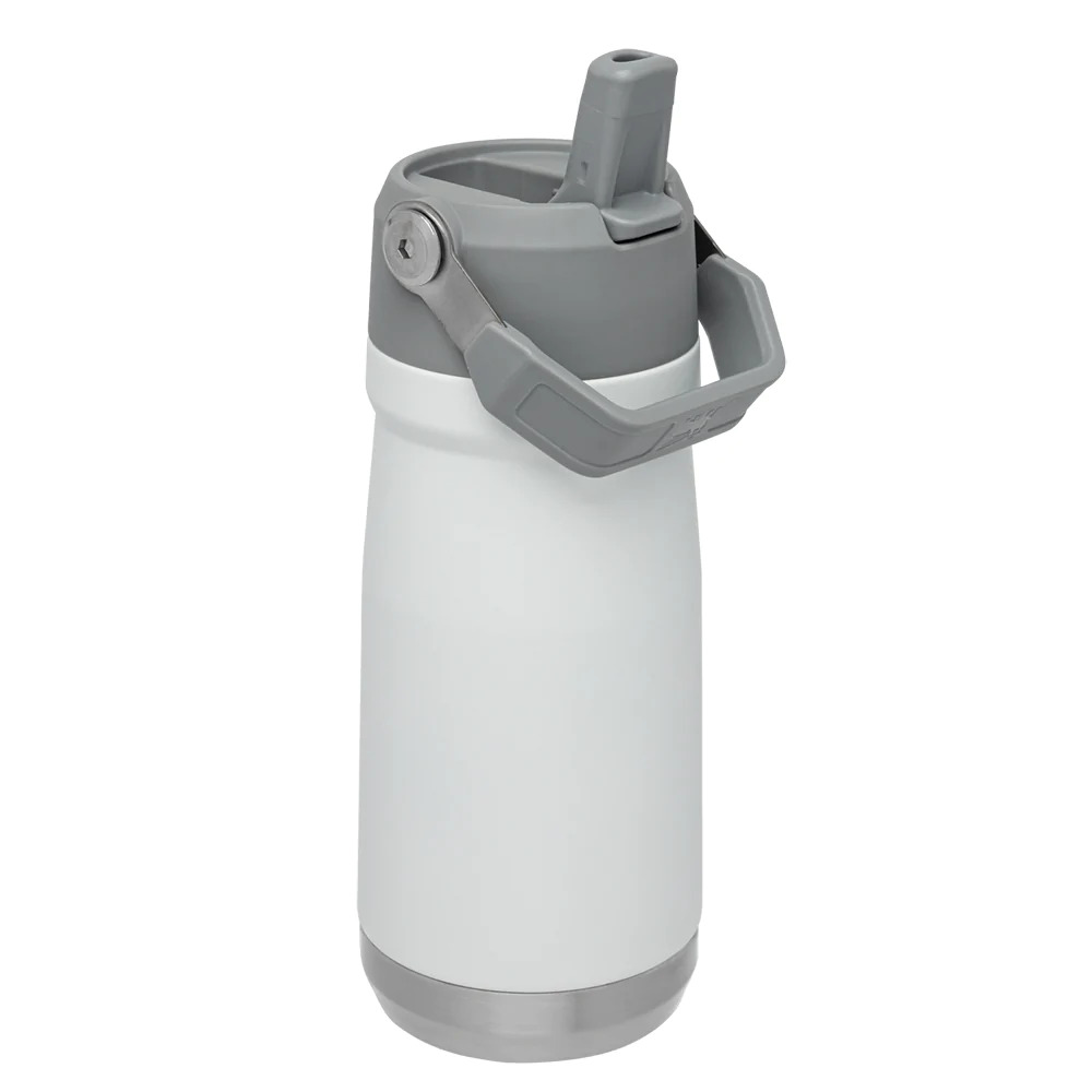 STANLEY IceFlow Flip Straw Bottle 17oz