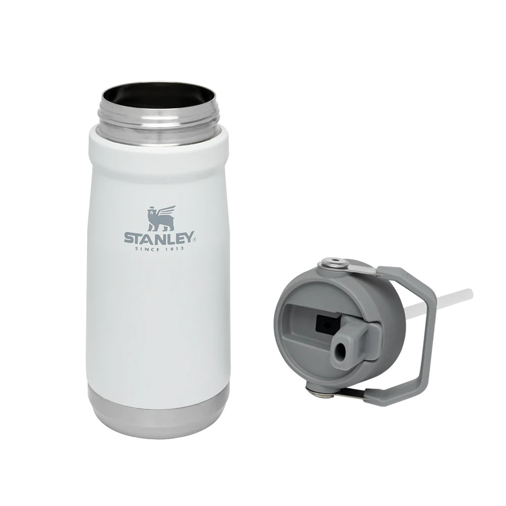 STANLEY IceFlow Flip Straw Bottle 17oz
