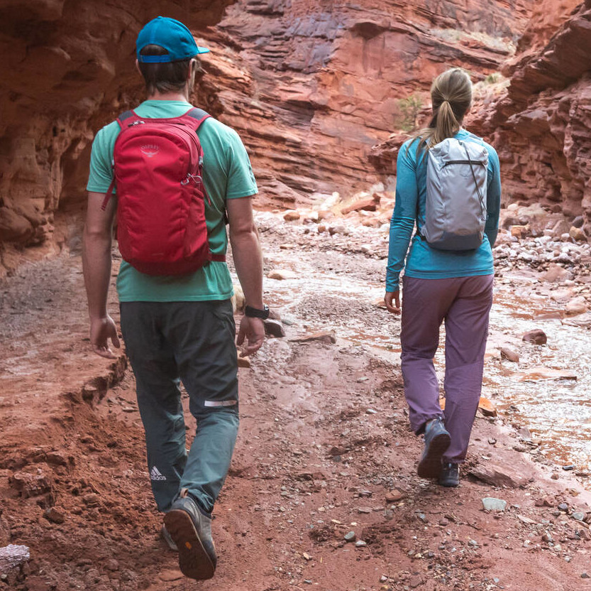 OSPREY Daylite 13L Backpack