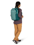 OSPREY Axis 24 Laptop Backpack