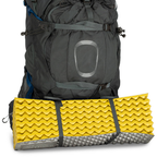 OSPREY Aether Plus 60 Men's Backpack