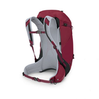 OSPREY Hikelite 32 Backpack