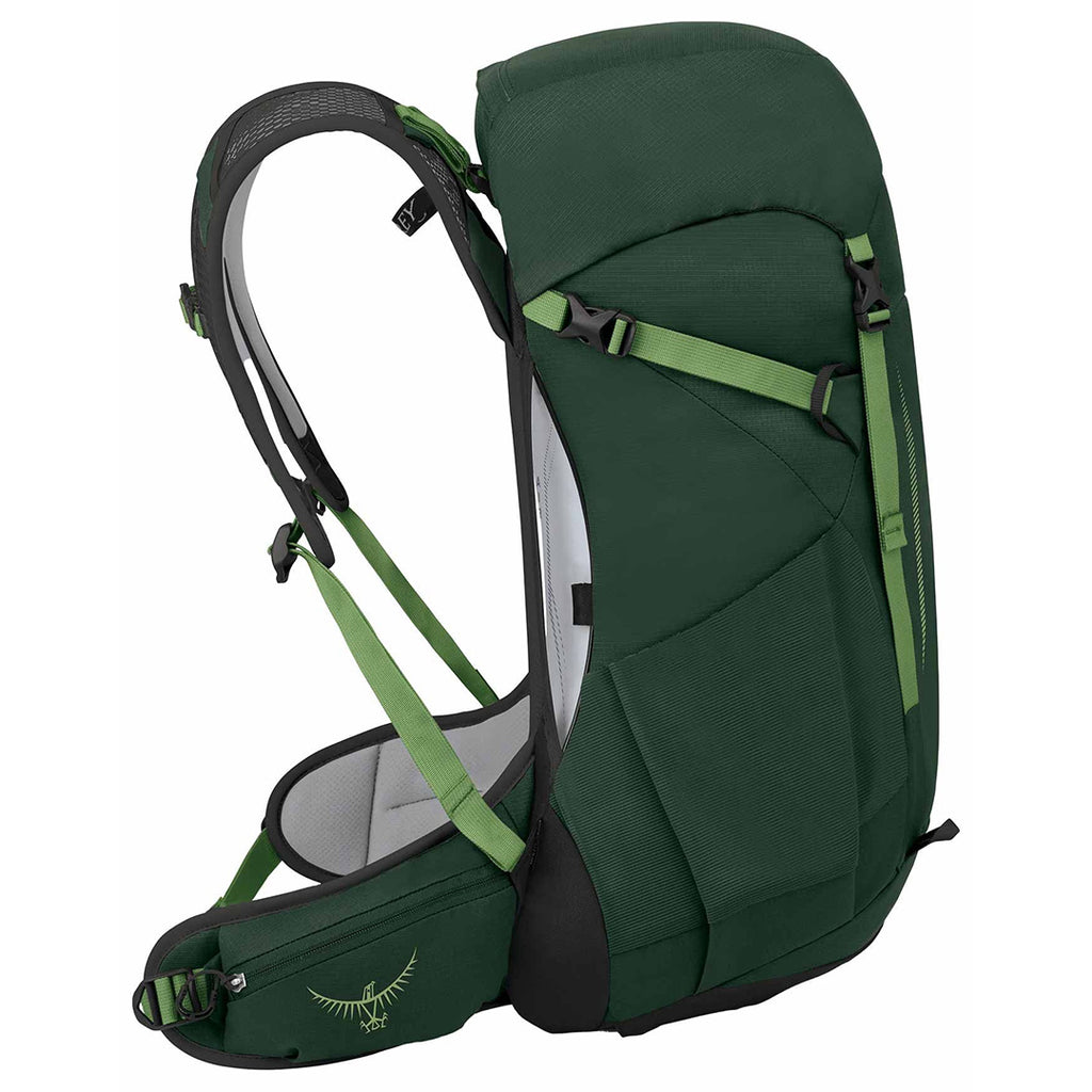 Osprey Hikelite Tour 32 Casual Hiking Travel Daypack