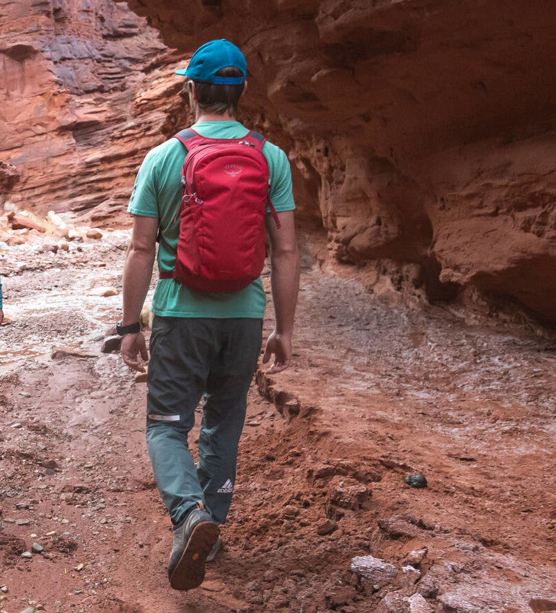 Osprey Daylite Everyday 13L Hiking Backpack