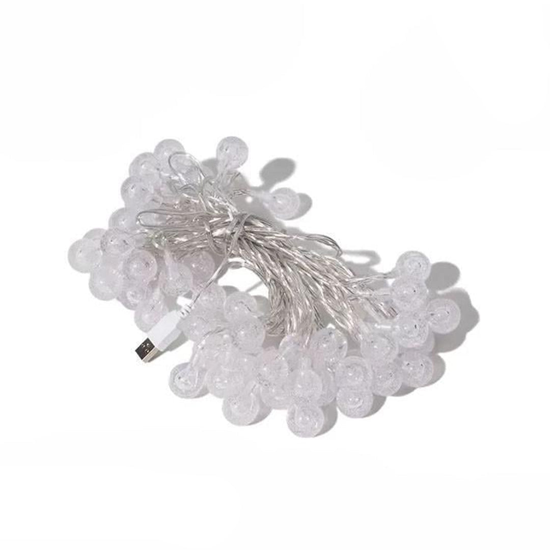 MOBI GARDEN Crystal Ball LED String Lights 10M