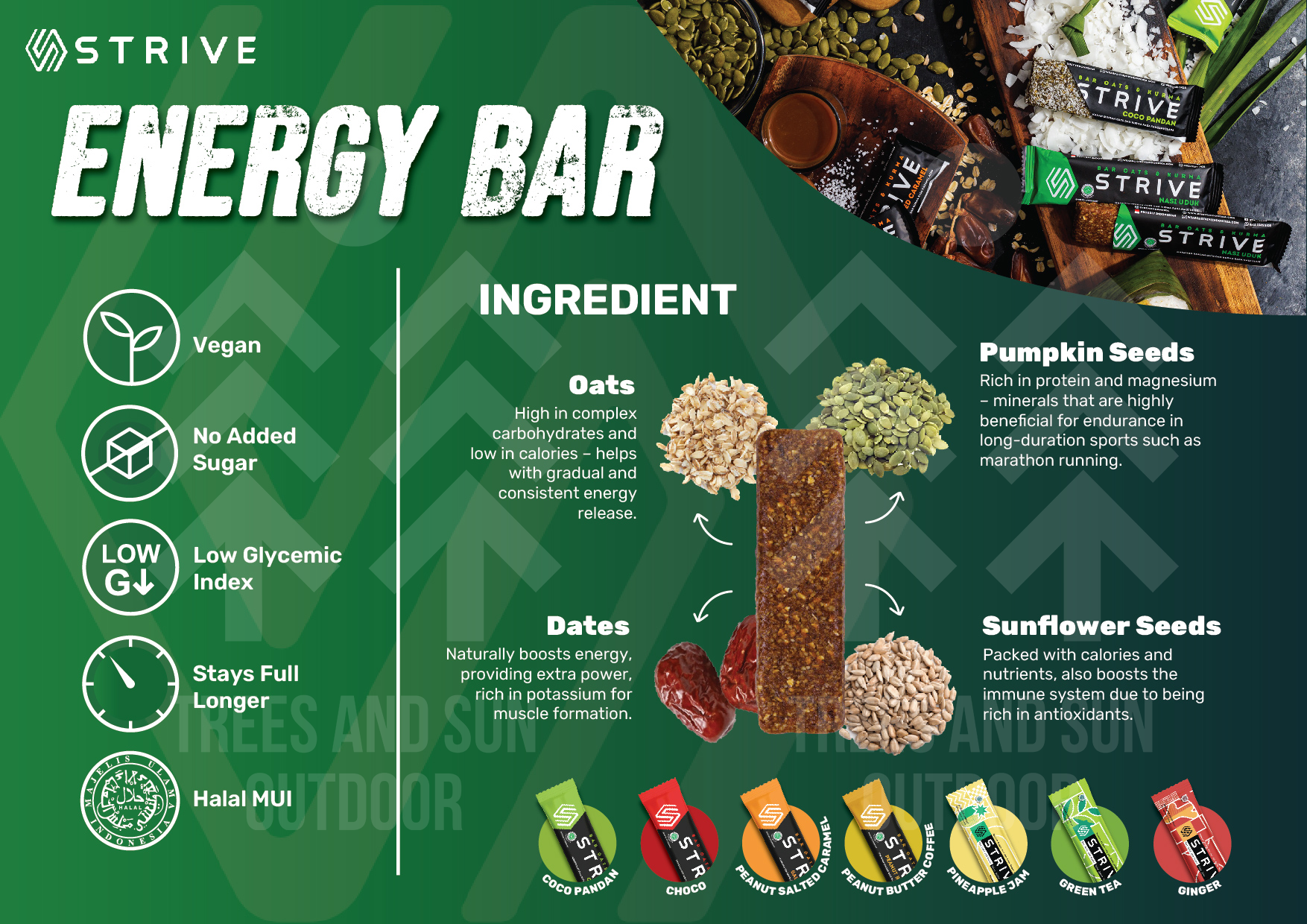 STRIVE Energy Bar Bite Size 20g – Oats & Kurma Snack Bar Sports Nutrition