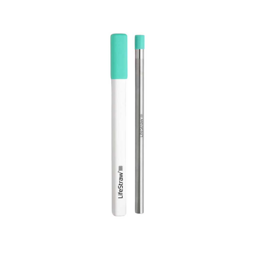 LIFESTRAW Sip Reusable Steel Filter Straw with Carry Case