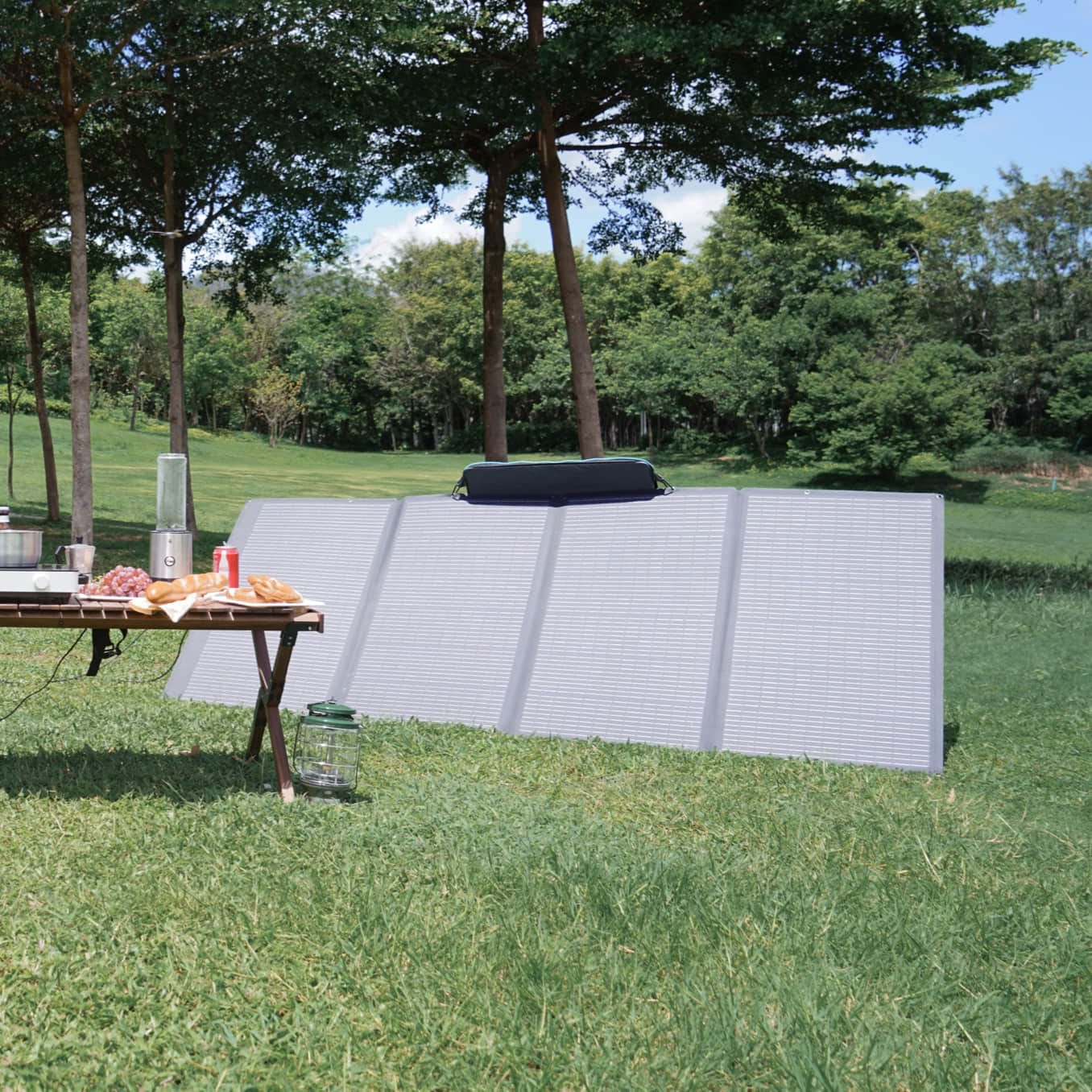 ECOFLOW 400W Solar Panel Energy Generator