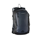 CARIBEE Disruption RFID 28L