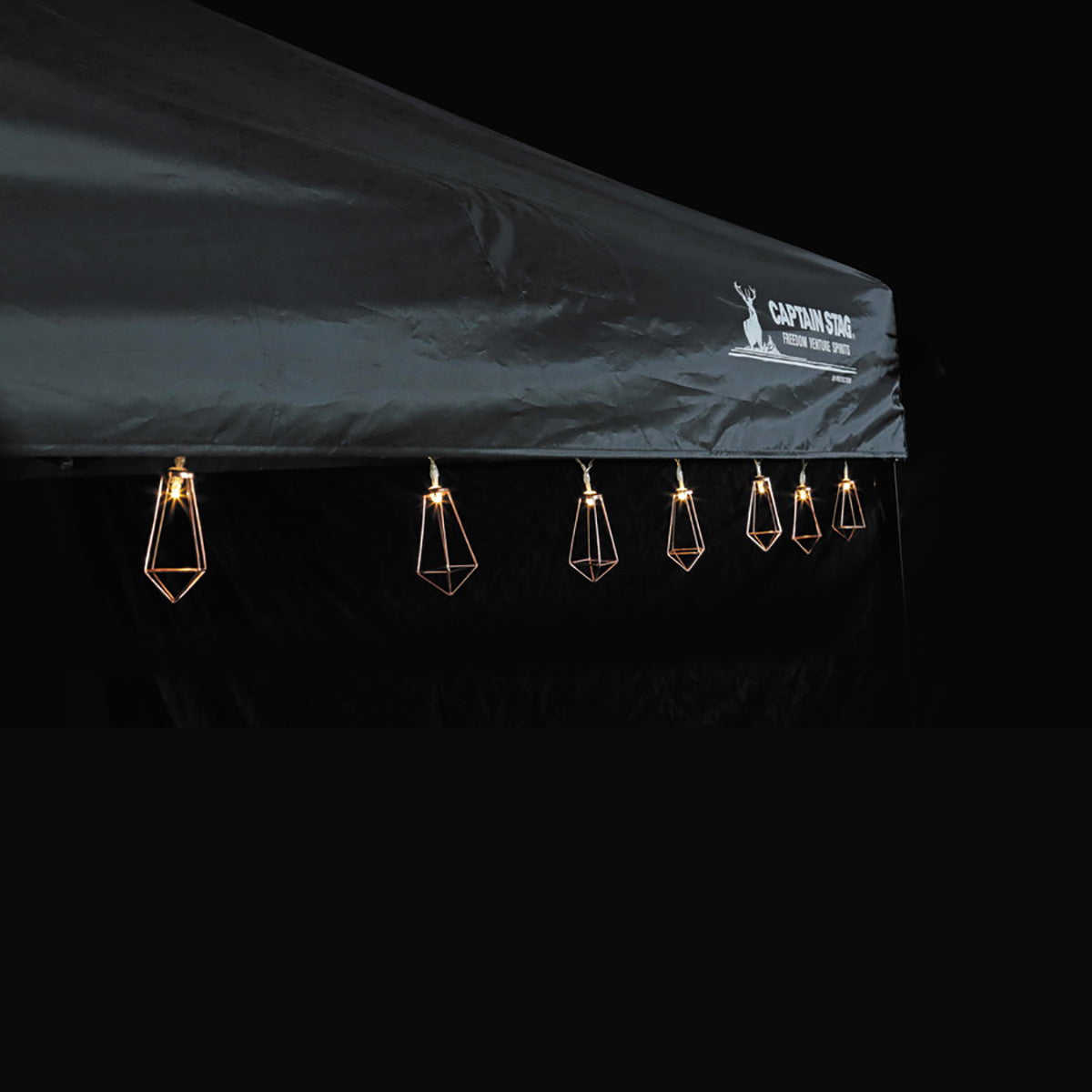 CAPTAIN STAG 10 LED Decoration Lights Diamond