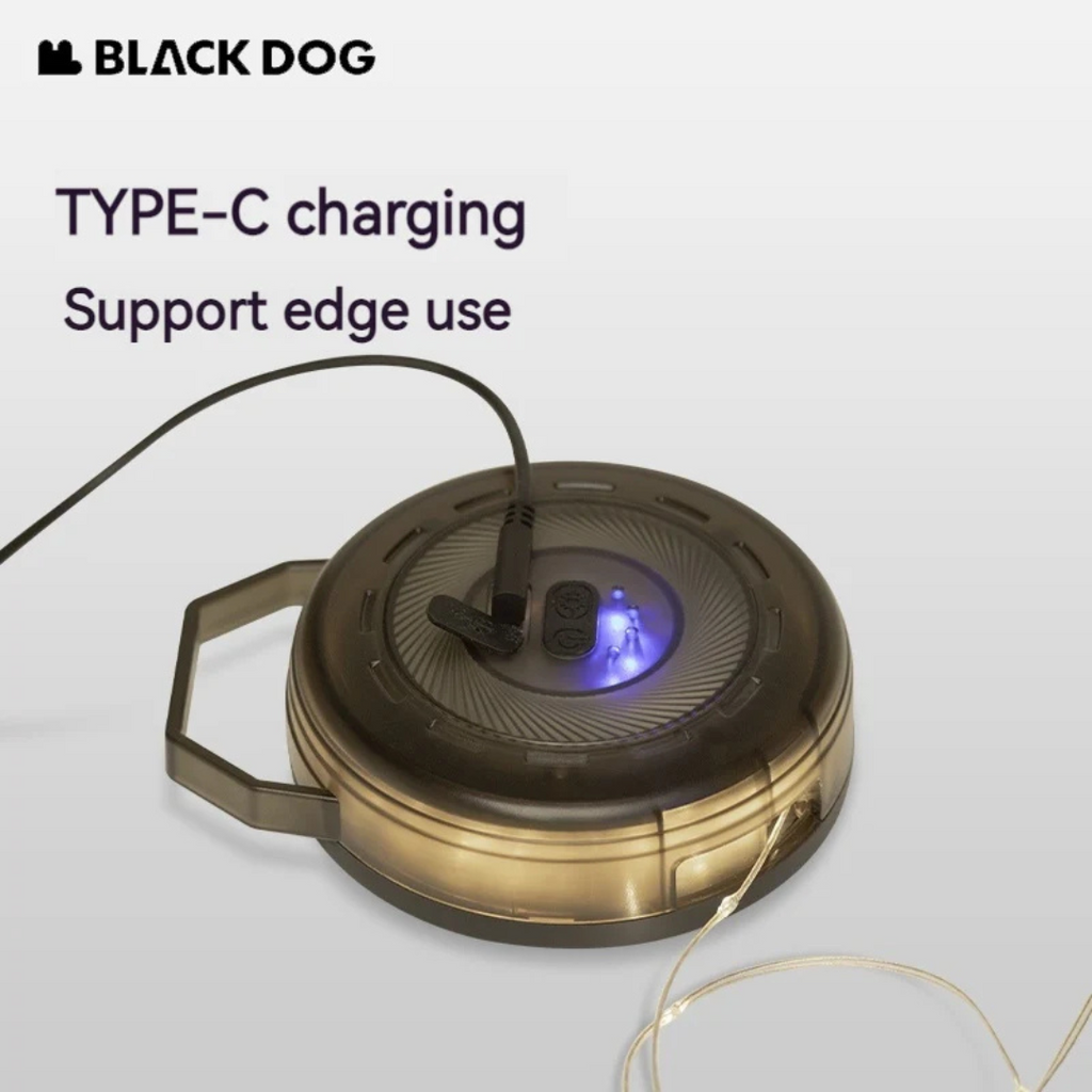 BLACKDOG Atmosphere String Light 10m