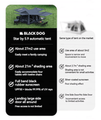 BLACKDOG Chasing Star 5.9 Auto Tent