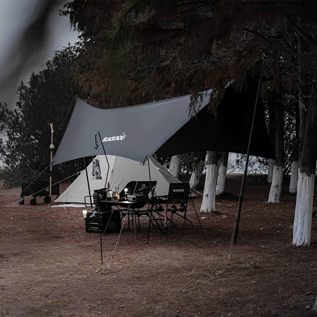 BLACKDOG Hexagon Tarp Silver Coated 10 - 15 People – TREES AND SUN