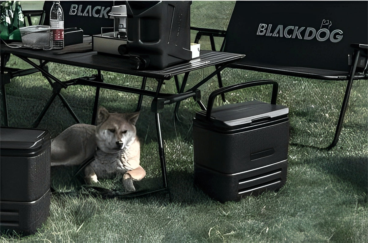 BLACKDOG Insulation Cooler Box 17L