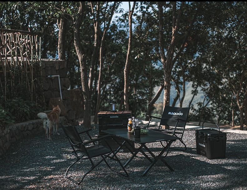 BLACKDOG Folding Kermit Chair 1 Person