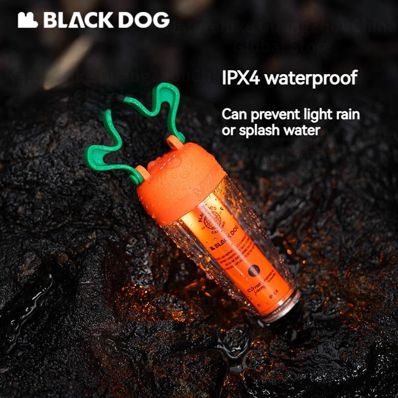 BLACKDOG Carrot Recharge Hanging Light