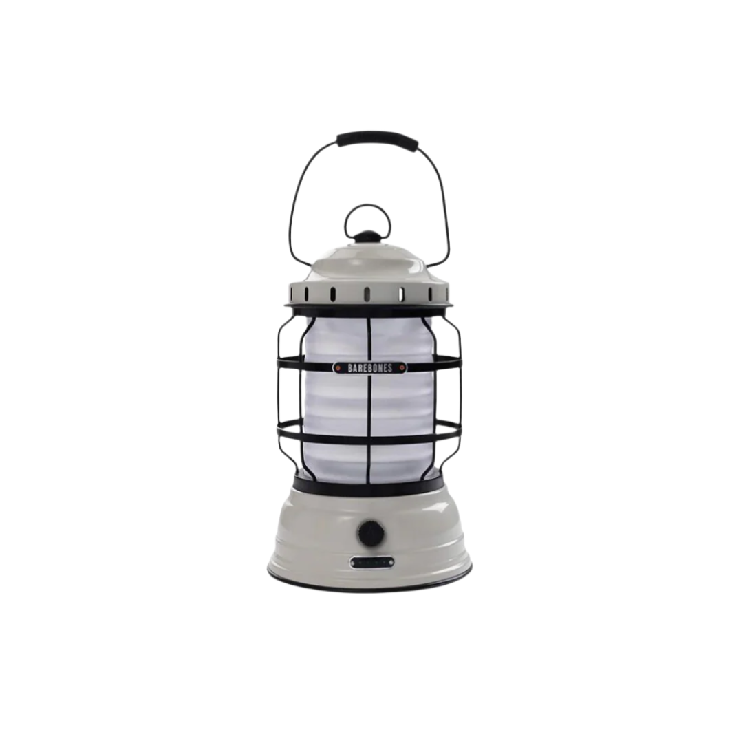 Barebones Forest Lantern Light Camping | Trees and Sun Outdoor