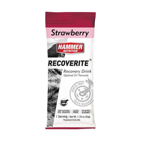 HAMMER Recoverite Recovery Protein Sport Drink