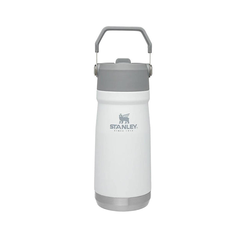 STANLEY IceFlow Flip Straw Bottle 17oz