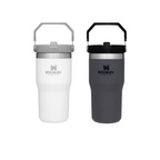 STANLEY IceFlow Flip Straw Water Bottle 20oz