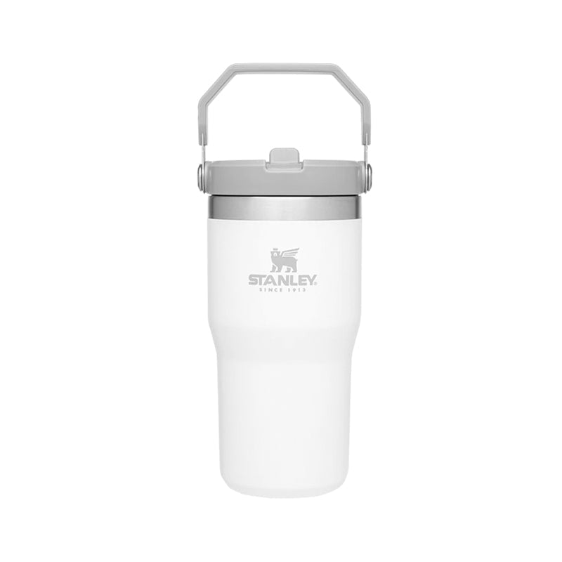 STANLEY IceFlow Flip Straw Water Bottle 20oz