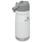 STANLEY IceFlow Flip Straw Bottle 17oz