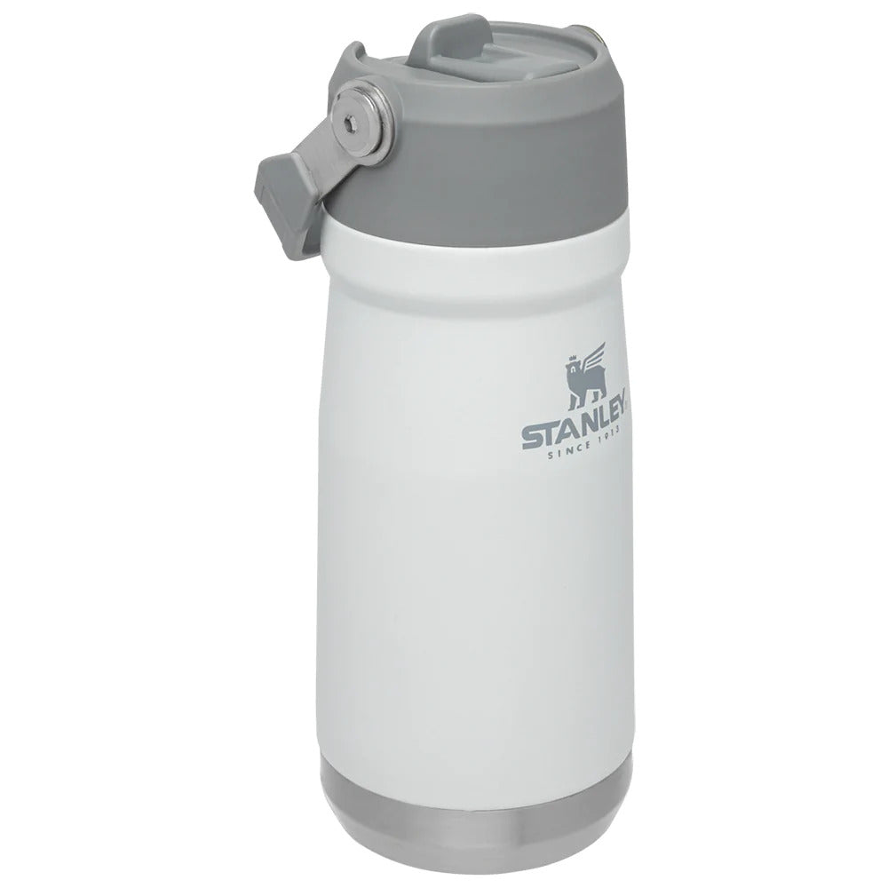 STANLEY IceFlow Flip Straw Bottle 17oz