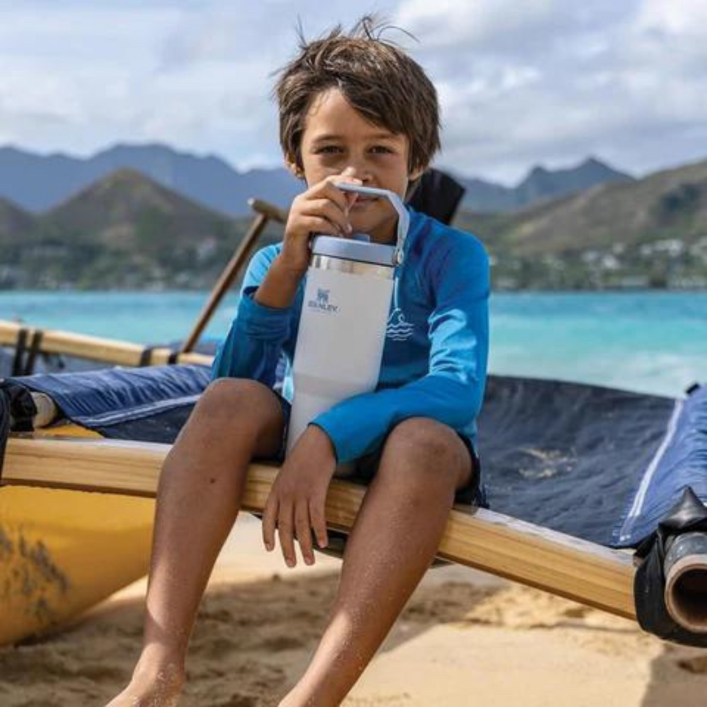 STANLEY Adventure Classic IceFlow Flip Straw 30oz