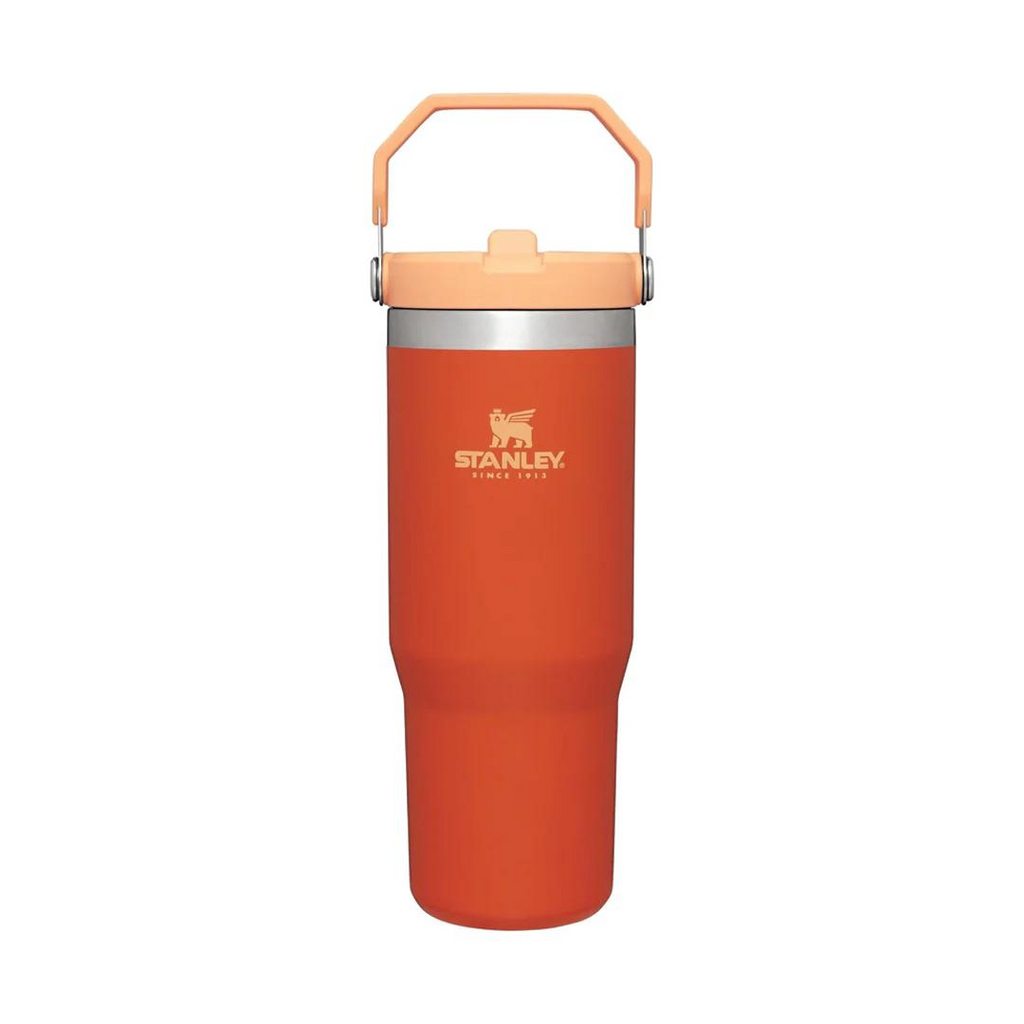 STANLEY Adventure Classic IceFlow Flip Straw 30oz