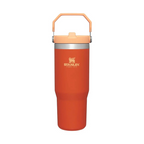 STANLEY Adventure Classic IceFlow Flip Straw 30oz