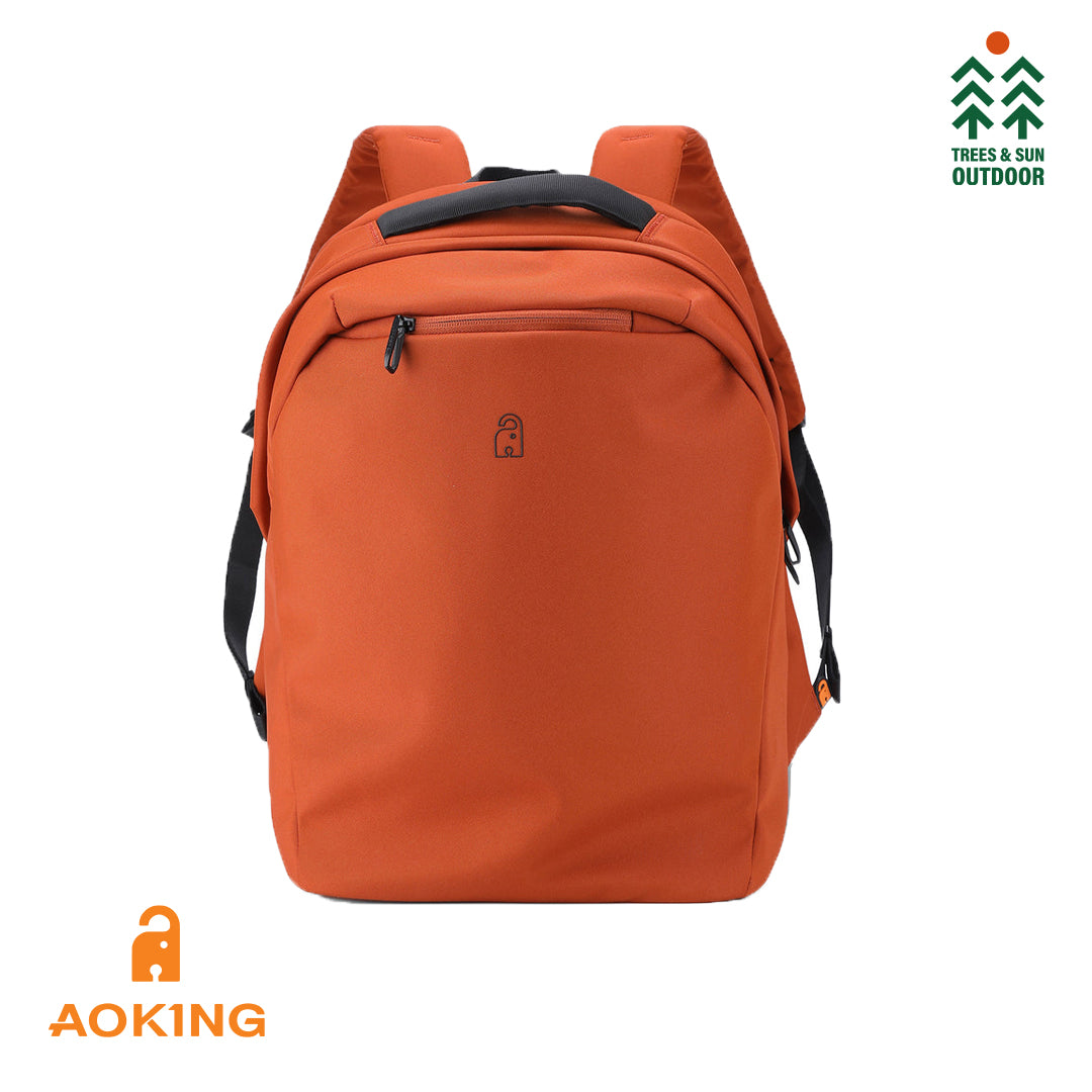 AOKING Anti-Theft Travel Backpack 23L