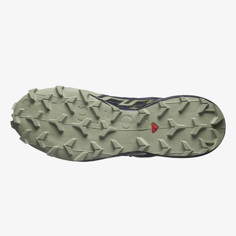 SALOMON Speedcross 6 Gore-Tex - Grisaille/Carbon/Tea