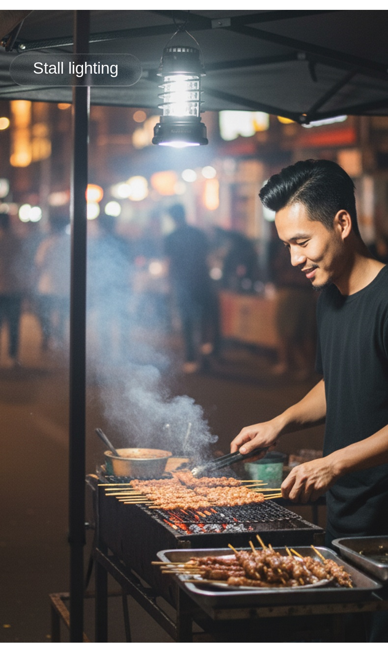 BLACKDOG Black Seal 2-in-1 Lantern Fan Light