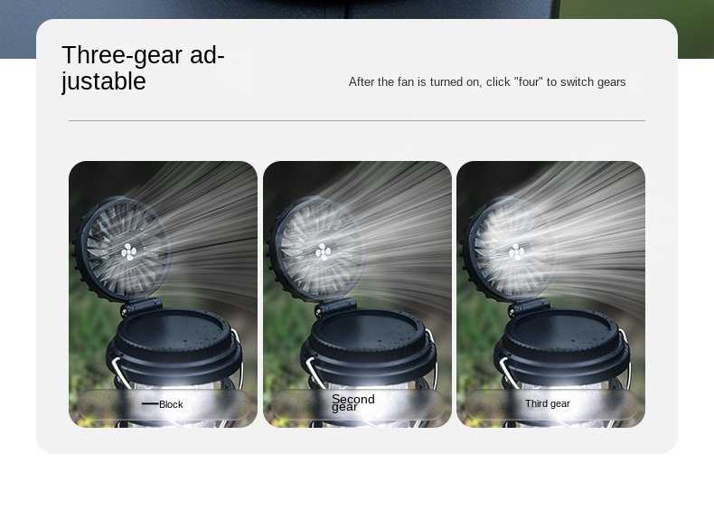 BLACKDOG Black Seal 2-in-1 Lantern Fan Light